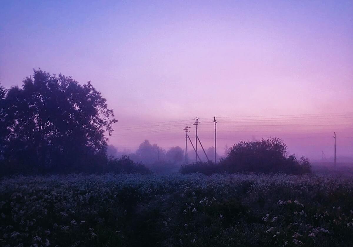 开云体育下载网址-拒绝足协杯三亚王！鲁能破咒 用冠军结束坎坷赛季